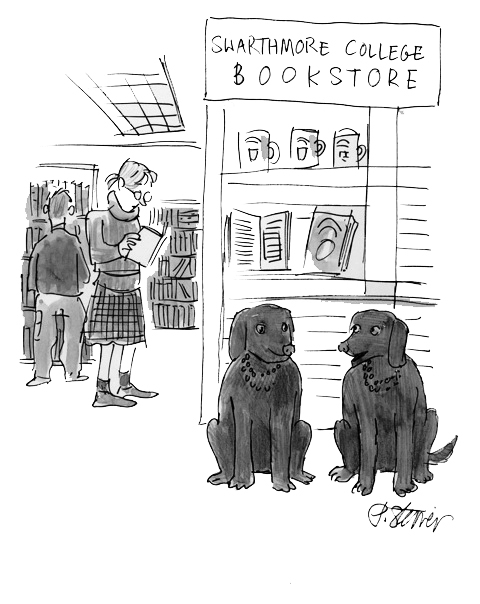 Two black dogs talking in the Swarthmore Bookstore.